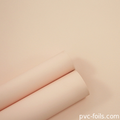 Peach Fuzz Pantone Couleur PVC Film décoratif en rouleau Pour les portes de meubles de cuisine